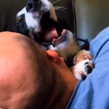 WAKE UP! VOTE TRUMP 2024