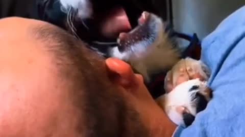 WAKE UP! VOTE TRUMP 2024