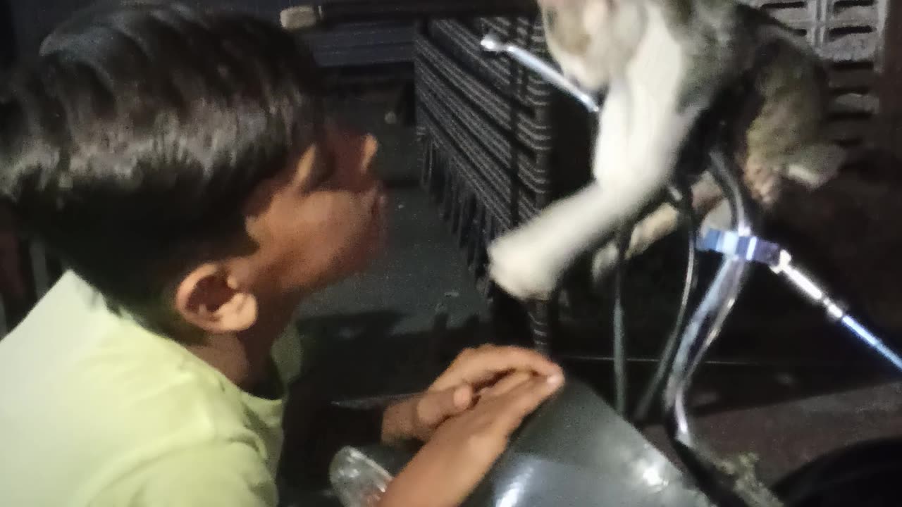 Kid vs cat