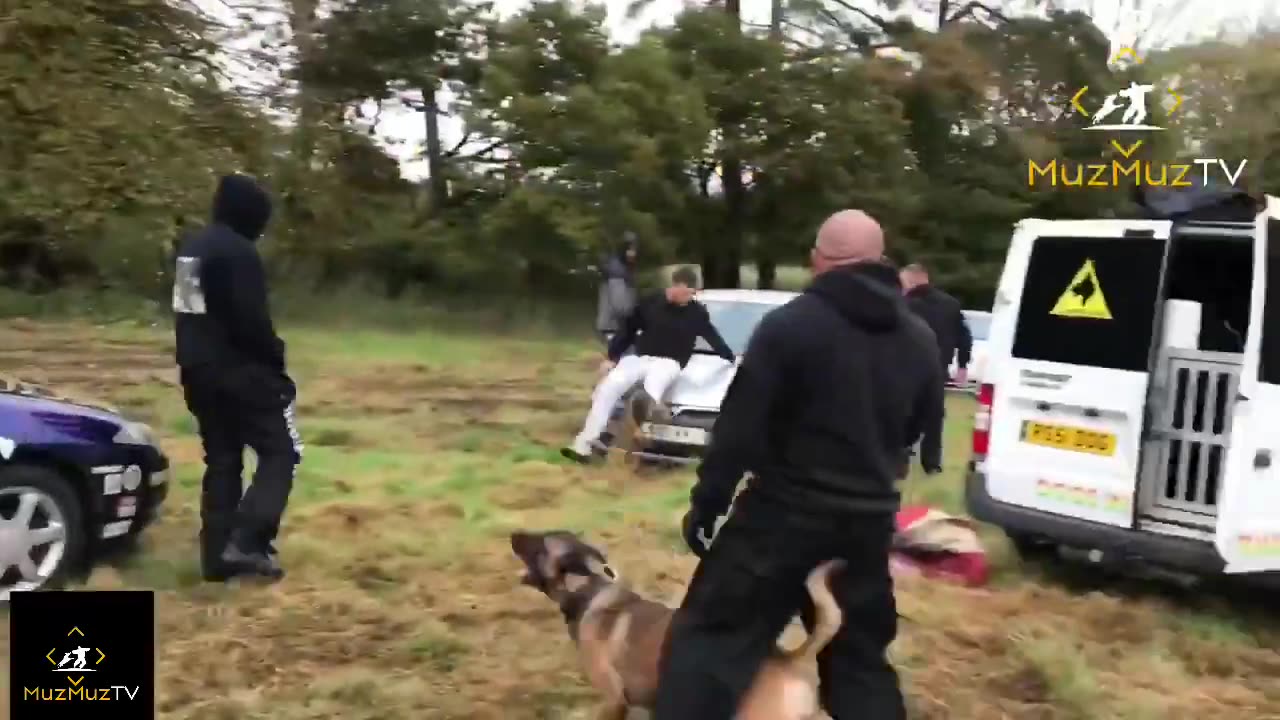 Protection dog training / control scenario