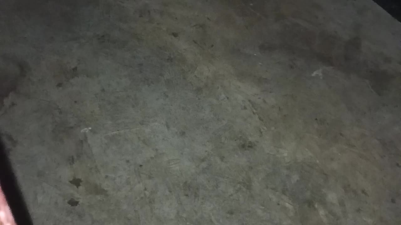 Just being a puppy