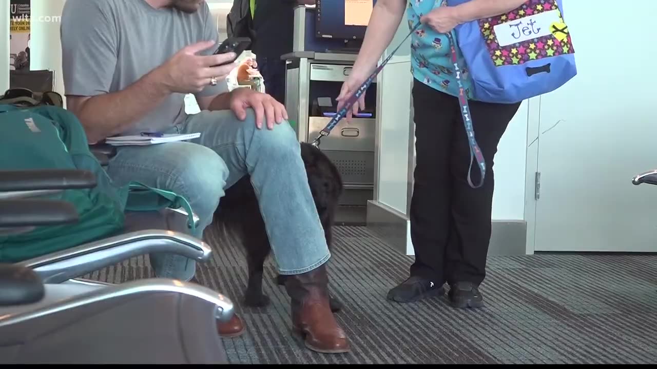 CAE re-launches therapy dog program