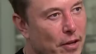 Politics - 2024 Epic Elon Musk Twitter To X Free Speech I Cant Be Bought Go Fuck Yourself