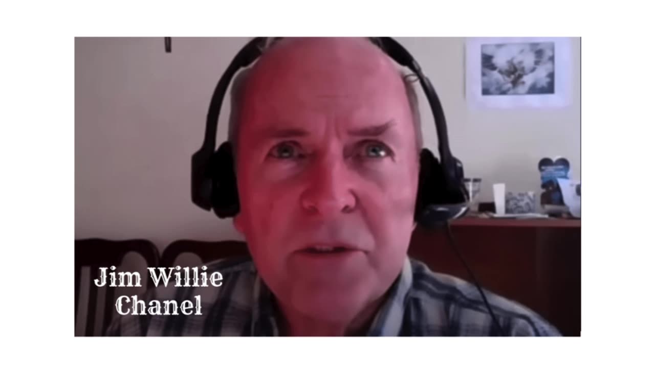 Jim Willie - Financial Crisis 8