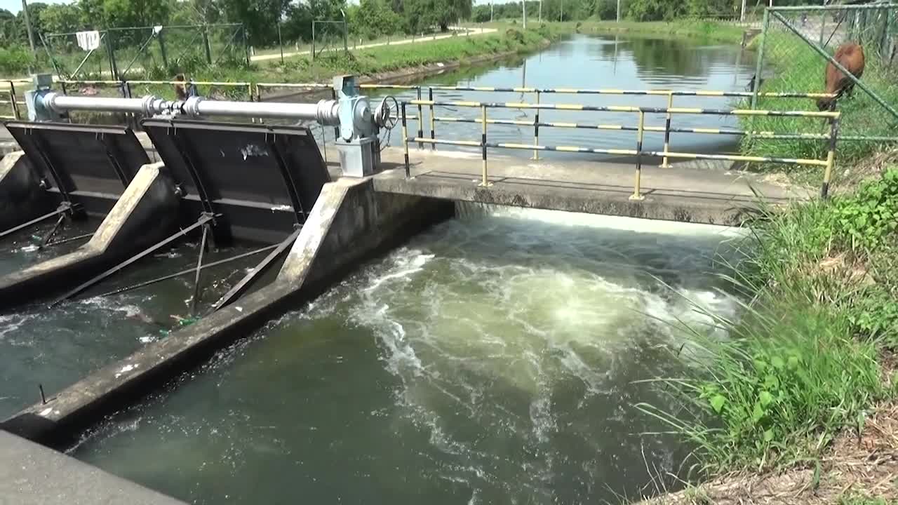 Beautiful Sri Lanka River