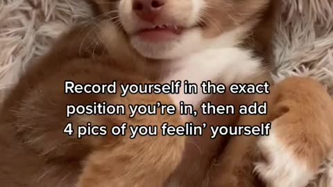 Ember had to try this trend