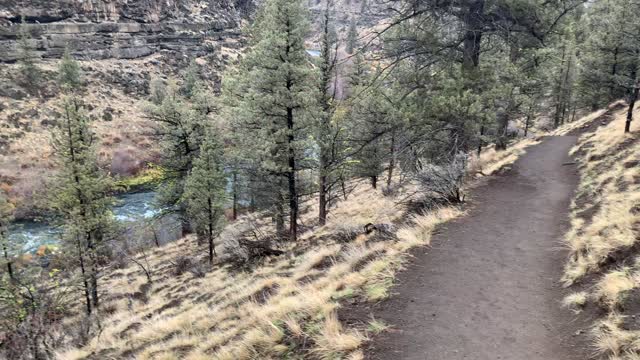 Central Oregon – Steelhead Falls – Overlooking the River – 4K