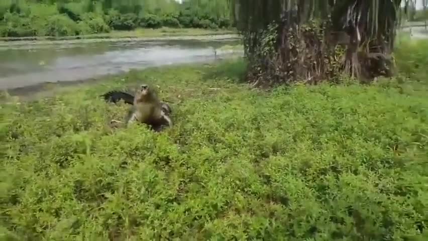 Dangerous fishing.