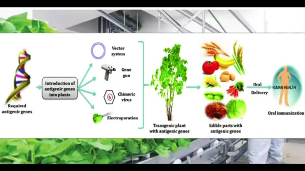 Vaccines in Food - Coming to a Grocery Near You!