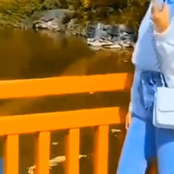 Amazon Kitchen products Smart gadgets & items for every home # 62 "Gr liton Home Gadgets"