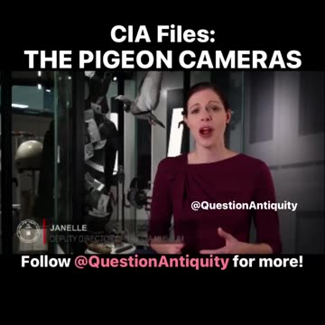 CIA PIGEON CAMERAS -