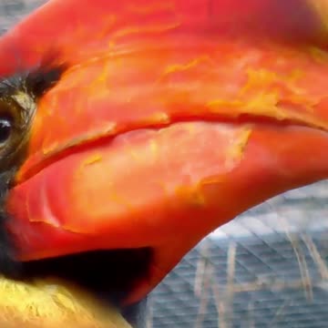 A Journey to Zen: How Relaxing This is for Mind and Body? Volume 133