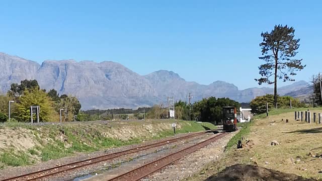 Wine tram South Africa