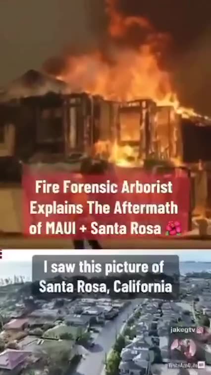 MAUI MASSACRE 🏝🛰🔥 CONFIRMED BY FORENSIC FIRE EXPERT