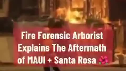 MAUI MASSACRE 🏝🛰🔥 CONFIRMED BY FORENSIC FIRE EXPERT