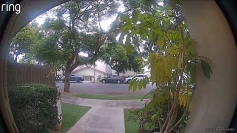 Ring Camera Captures Driveway Collision