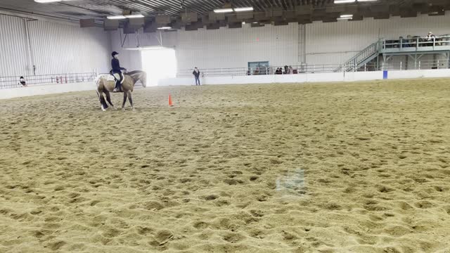 DW Benny Equitation