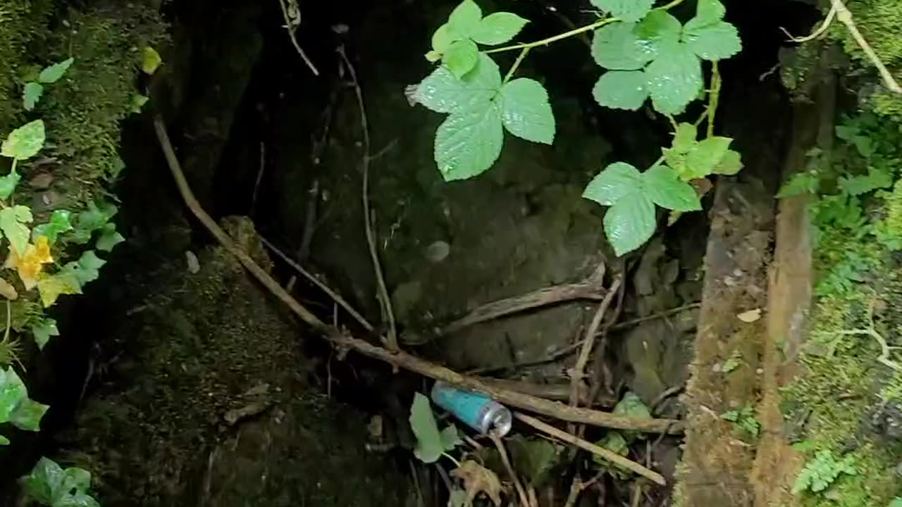 Abandoned Burial Ground in Shipley | Bradford