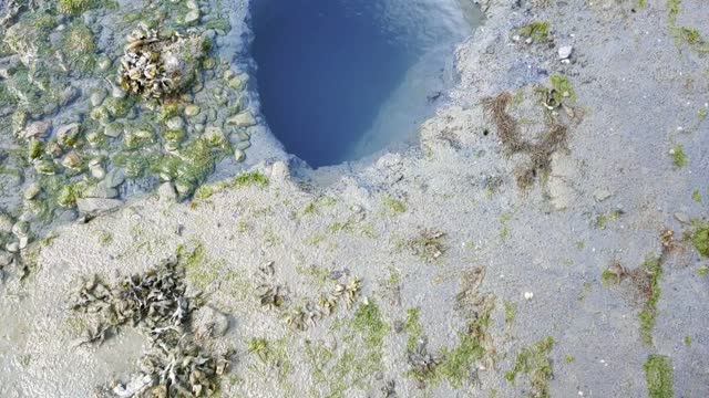 Terrifying sink hole/thermal water vent on the beach Gustsvus/Glacer Bay Alaska
