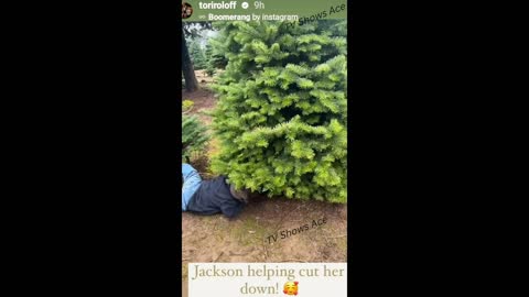 Jackson Roloff Cuts Down Family Tree