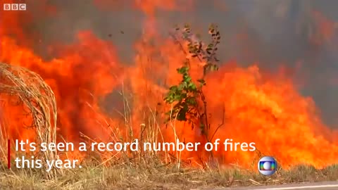 Spike in wildfires in Brazil's Amazon rainforest