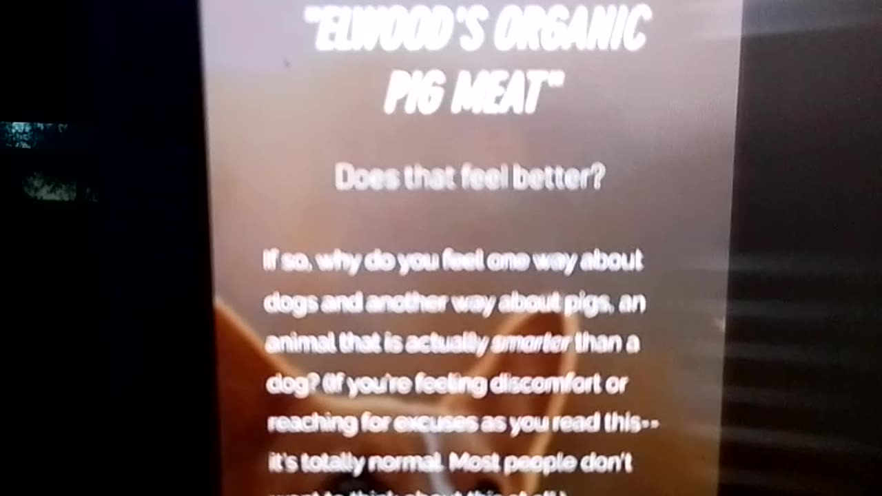 ASSURDO: ANCHE IN ITALIA SI PUÒ MANGIARE CARNE DI CANE 😡‼️