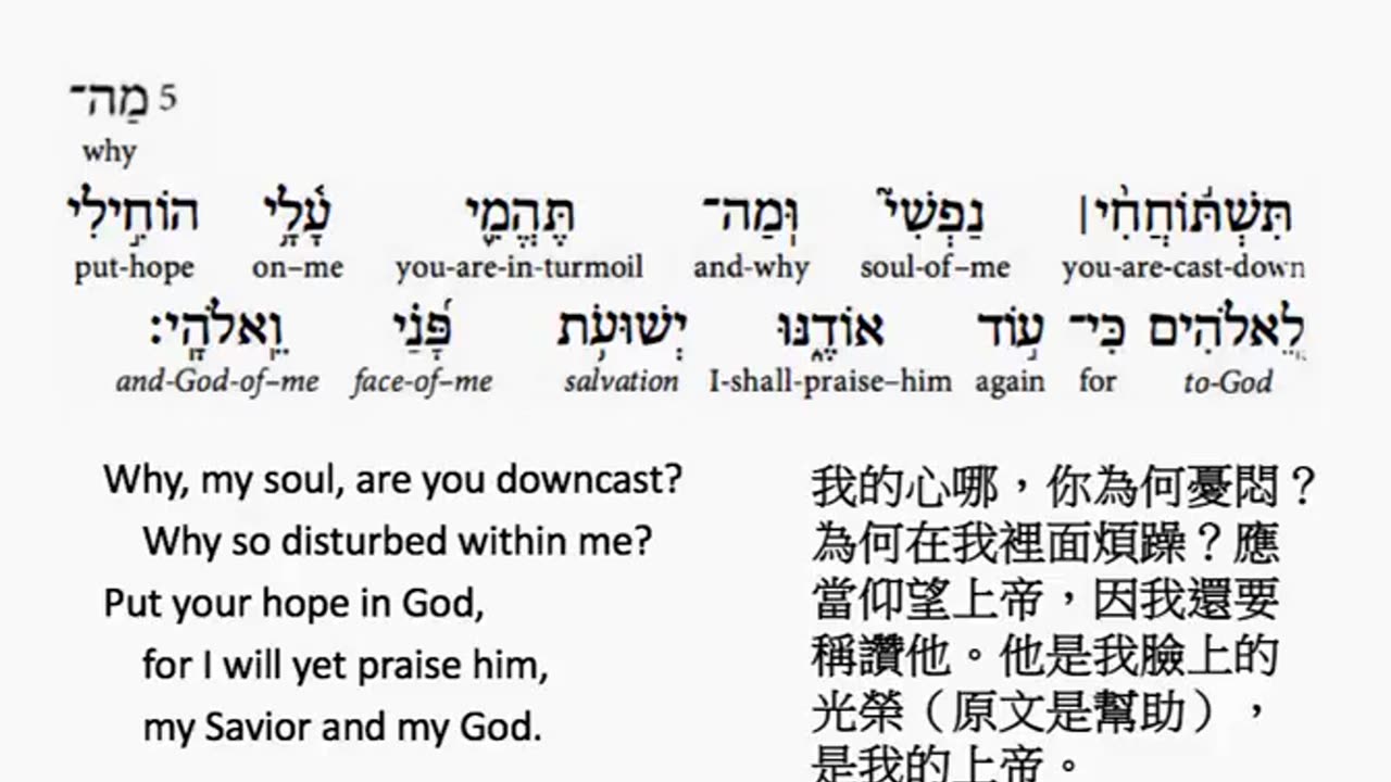 psalm 43 in hebrew _ salmo 43 en hebreo