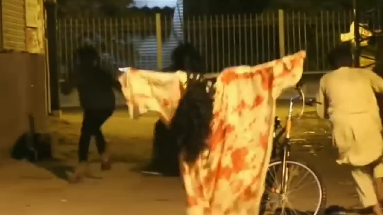Human vs dog video
