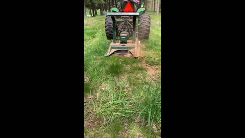 Turbosaw shaving oak stump