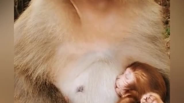 Mom and son
