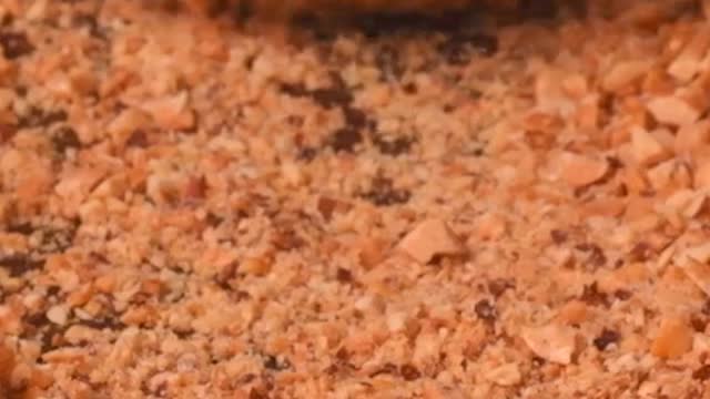 End the week with a sweet fall treat everyone is sure to love #candyapples #asmr