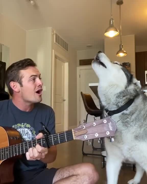 Husky dog sings "I'm yours" by Jason Mraz