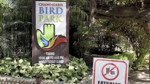 Chandigarh Bird park