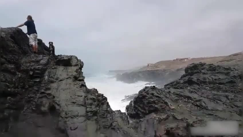 Guy Standing on top of Seaside Cliff With Pet Dog Gets Washed Over by Huge Wave