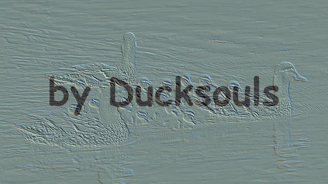 Duck 90