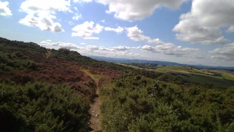 Satellite tower and heathers on Brimmond Hill Sept 2023