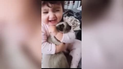 Funny cat's and dogs videos |funny moments|