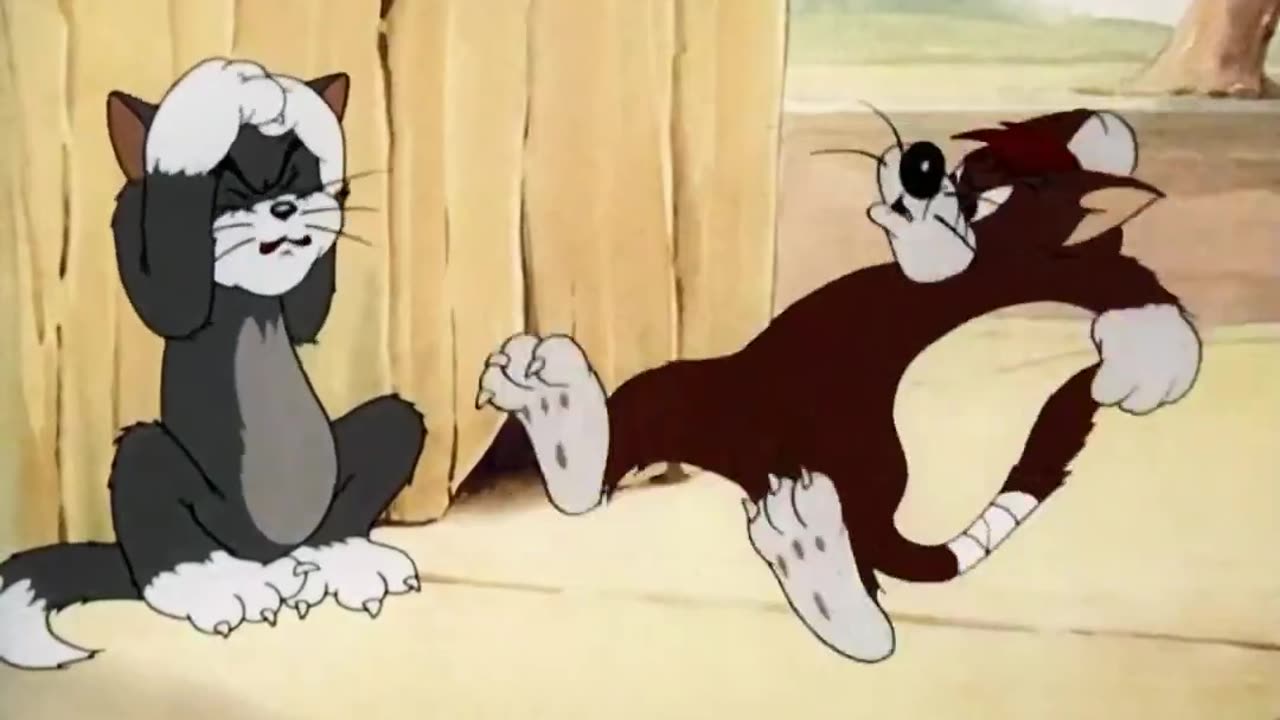 Tom and Jerry