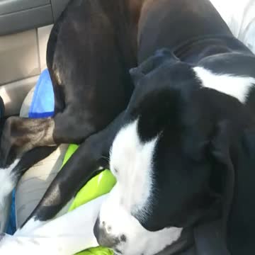 Chilling to the Blues