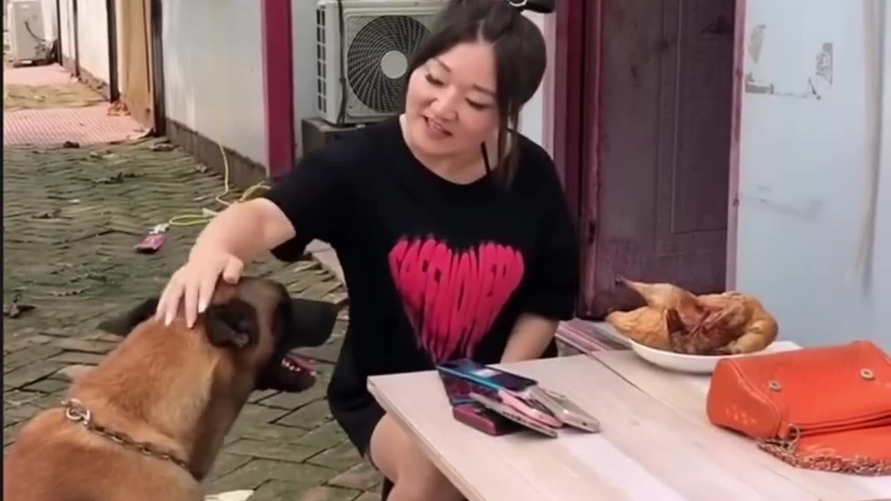 Dog And Chicken