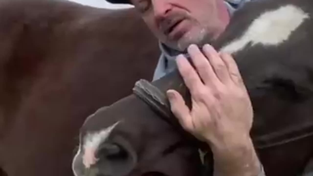 HORSE IN PAIN 😱 CAN'T LOWER HEAD! 🐴 Animal Chiropractor