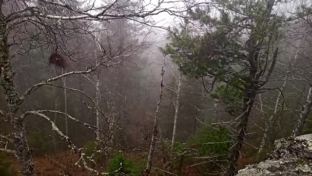 view from Kolpaki mountain