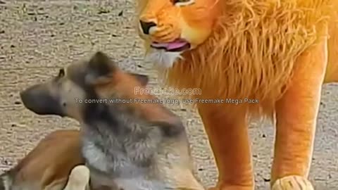 funny