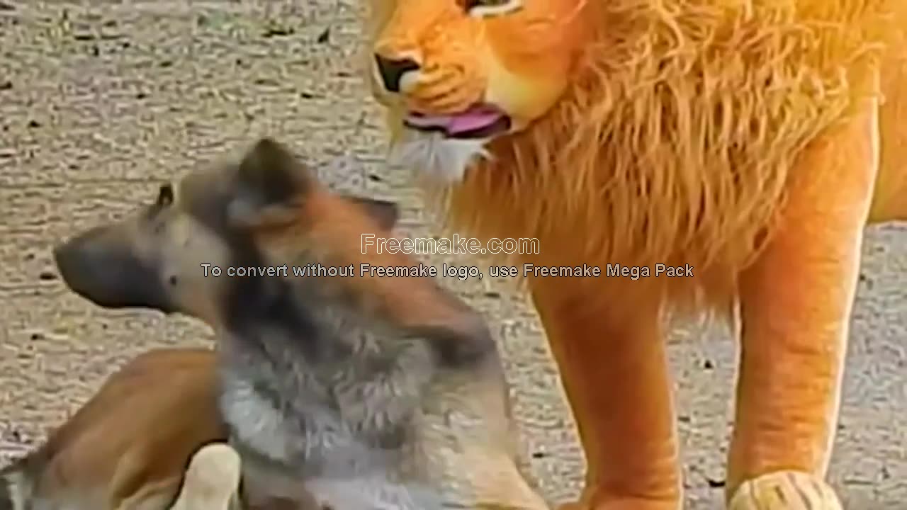 funny