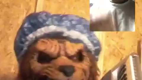 WOLF Man ☞ Hero ☜ RoastGod3nt Facebook Stream