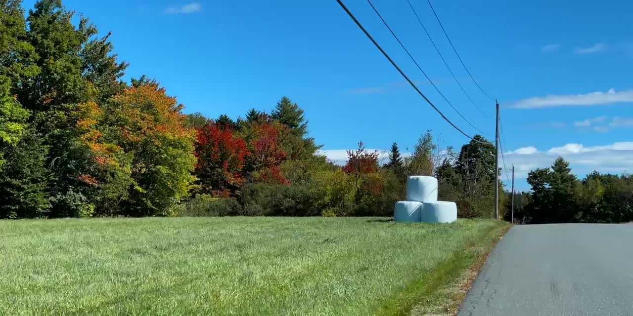 The Beauty of Peak Fall Foliage 🍁 Autumn in New England Part 1-7
