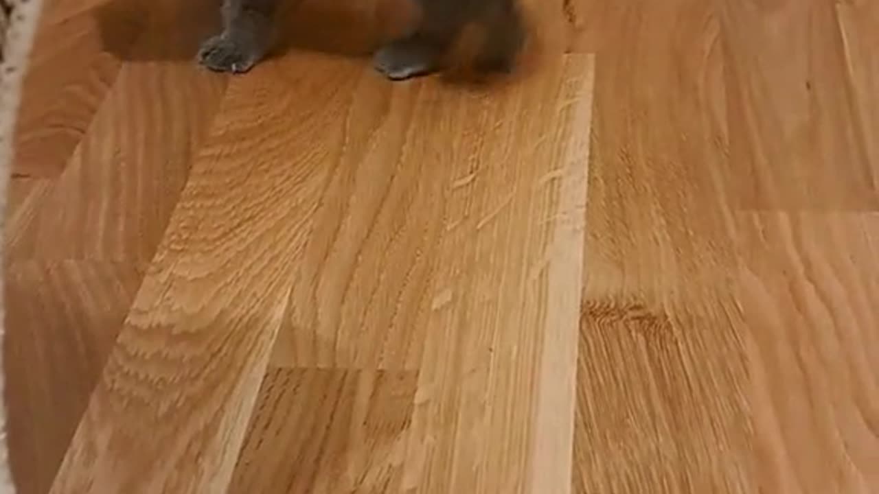 Sophie's funny moments #12