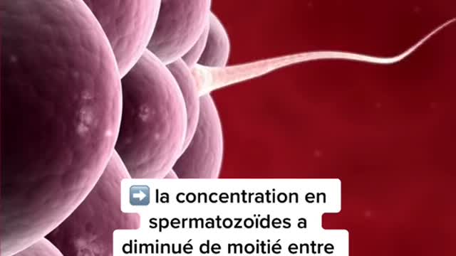 The number of permatozoids in men has decreased all over the world...
