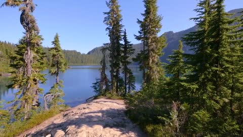 Mount Rainier National Park - Nature Relax Video, Summer Scenery