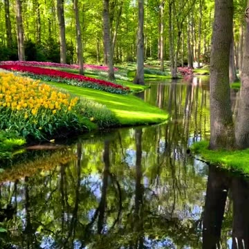 Beautiful garden in the Netherlands ! Joy Funny Factory